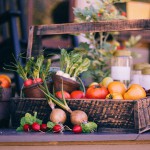 Vegetarijanska hrana za pse