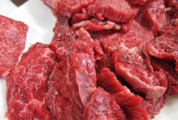 Surovo meso za pse: 5 stvari, ki jih morate vedeti