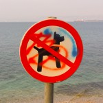 Psom prepovedano: Izola