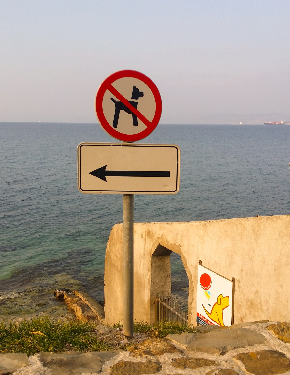 Naprej od mestne plaže Svetilnik, se nahaja pasja plaža (desno od znaka, seveda).