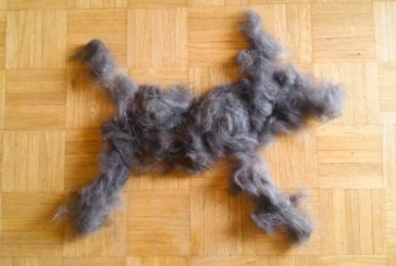 FURminator Terminator!