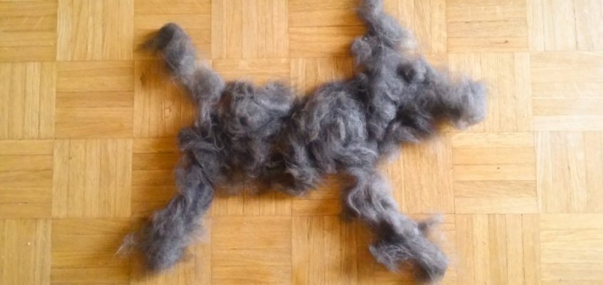 Furminator za psa je zakon!