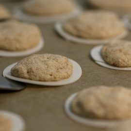 Pasji piškoti s tuno - recept za pasje piškote