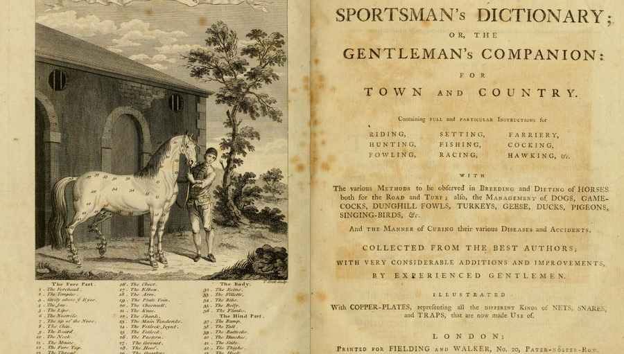 The sportsman s dictionary, priročnik za nego psov.