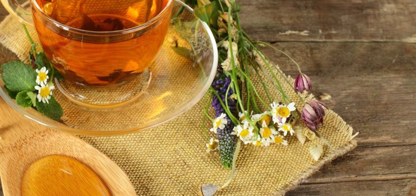 kužni kašelj pri psu in domača zdravila za pasji kašelj