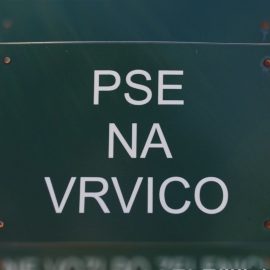spuščeni psi
