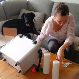 bioresonanca za živali