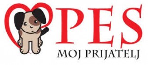 pmp logo