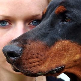 brezplačni posvet z veterinarji