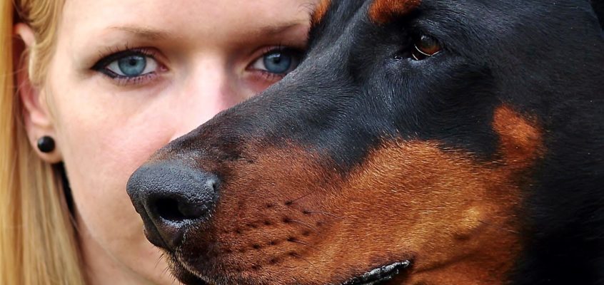 brezplačni posvet z veterinarji
