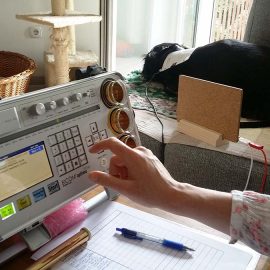 bioresonanca za pse - v ljubljani, kako potekata pregled, terapija in zdravljenje?