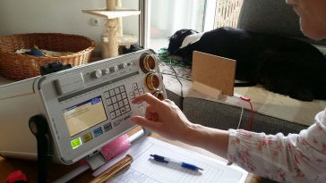 bioresonanca za pse - v ljubljani, kako potekata pregled, terapija in zdravljenje?