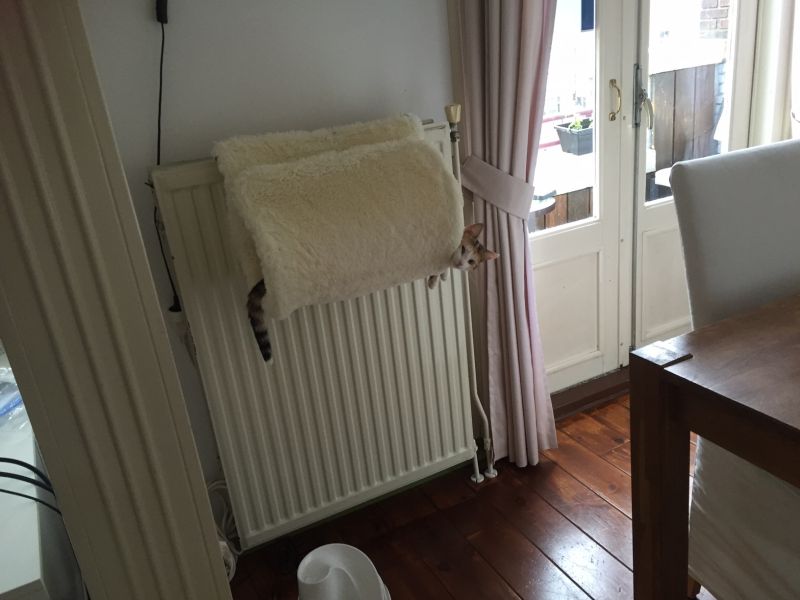 radiatorsko ležišče za mačke
