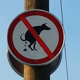 pasji iztrebki - kako ločevati odpadek, kakšna je kazen in kakšni so zakoni?