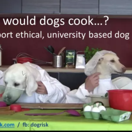 hrana za pse raziskava