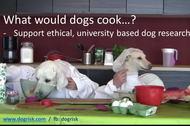 hrana za pse raziskava