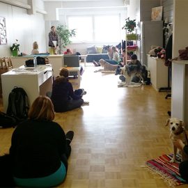 masaža psa špelo suhač