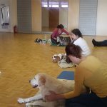 Kako do zdravih sklepov in hrbtenice?