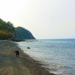 Plaža Bele skale – ideja za izlet s psom