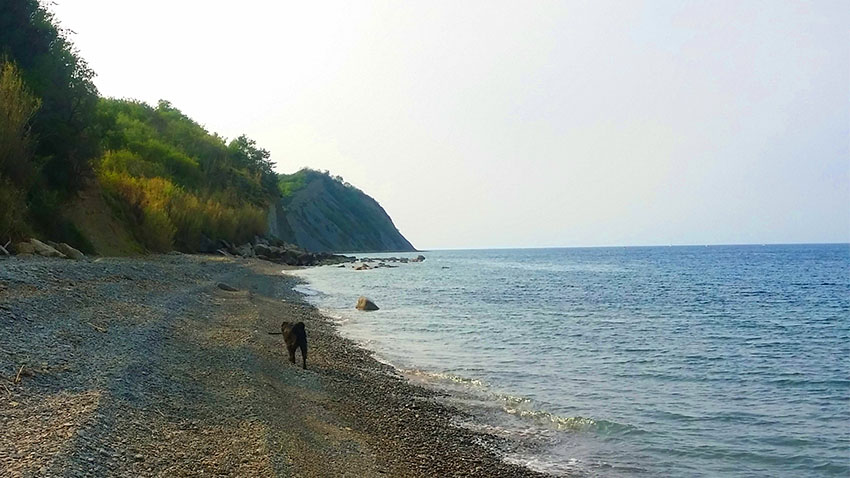 plaža bele skale - kam s psom na morje