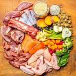 “BARF to go” ali kako hraniti surovo na dopustu?