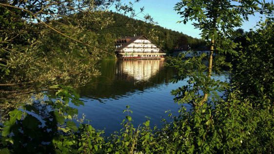 jezero črnava in hotel bor ideja za sprehod ali izlet s psom