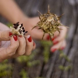 pegasti badelj za pse