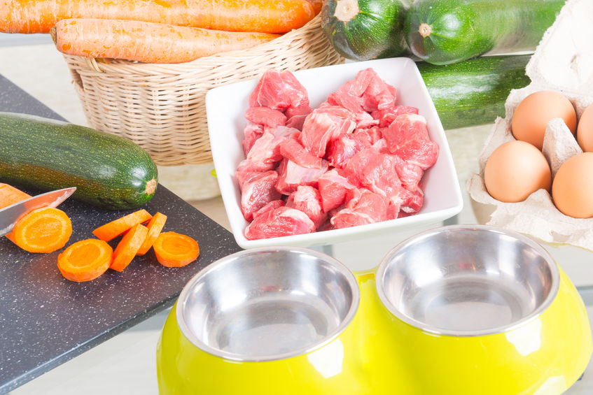 kako popestriti doma pripravljene obroke za psa