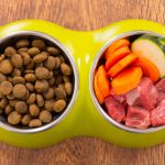 Prednosti hranjenja psa s svežo hrano