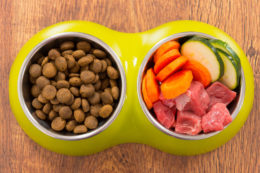 prednosti hranjenja psa s surovo hrano