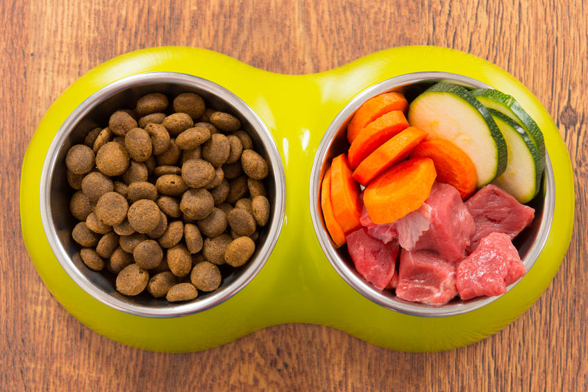 prednosti hranjenja psa s surovo hrano