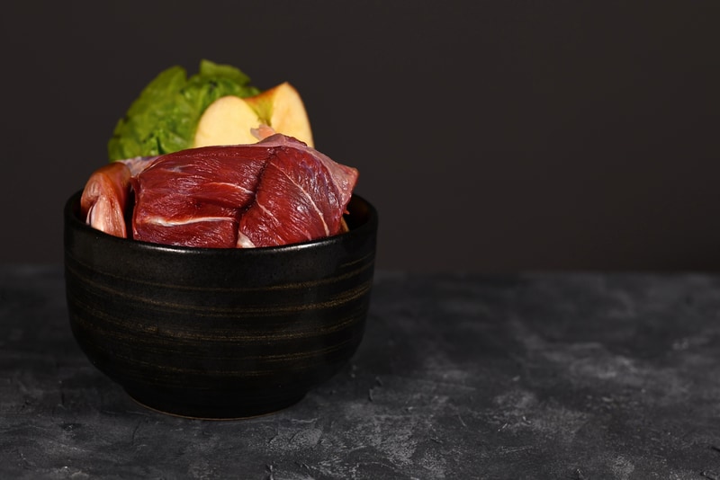 Surova hrana za začetnike v letu 2025