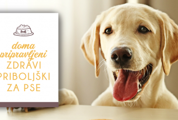 Brezplačna e-knjiga: 5 receptov za zdrave pasje priboljške