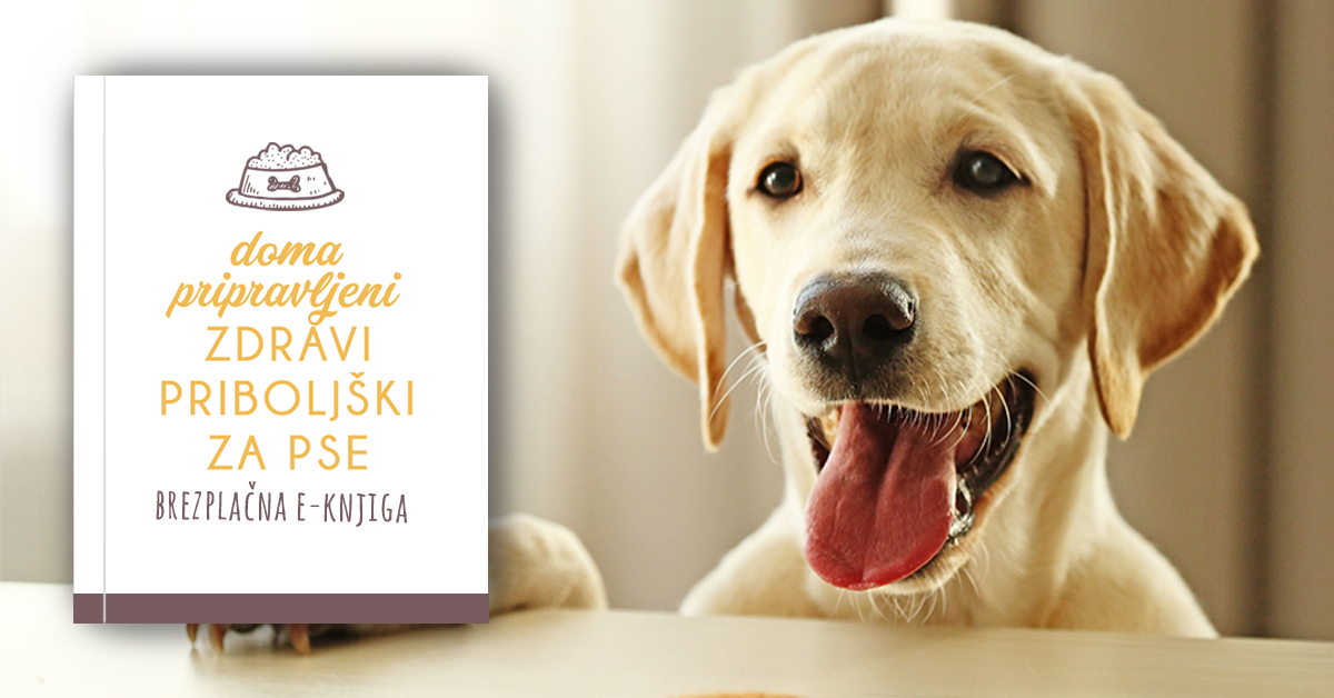 brezplačna knjiga z zdravimi priboljški za pse