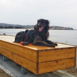 Pešpot Izola - Koper ideja za izlet ali sprehod s psom