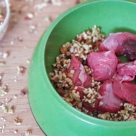 Surova hrana za pse: recept z BARF kosmiči