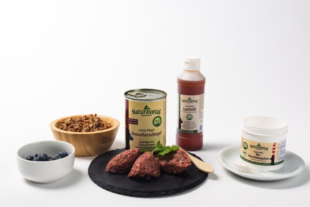 Martinova večerja iz račjega mesa