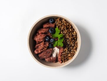 Račje meso za Martinovo