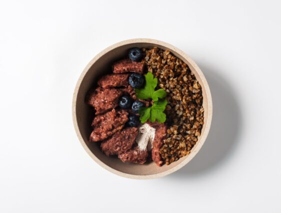 Račje meso za Martinovo