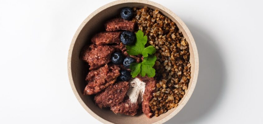 Račje meso za Martinovo