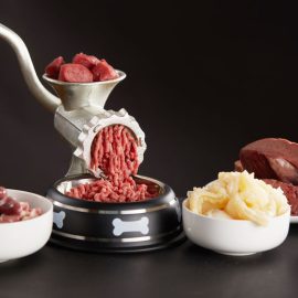 kivo surova hrana za pse plenski model hranjenja psa