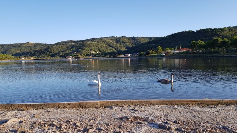 laguna stujža strunjan naravni rezervat