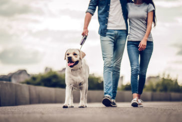 5 stvari, ki se ti lahko zgodijo samo na zmenku z veterinarjem