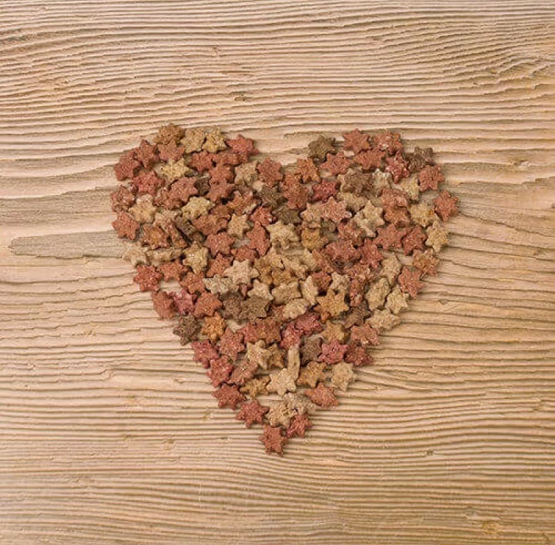 Naturavetal ribje zvezdice