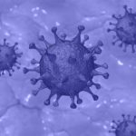 Novi koronavirus in domače živali