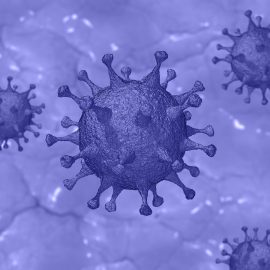 novi koronavirus in domaže živali