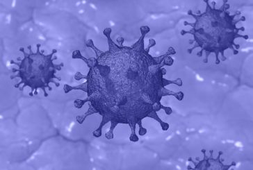 Novi koronavirus in domače živali