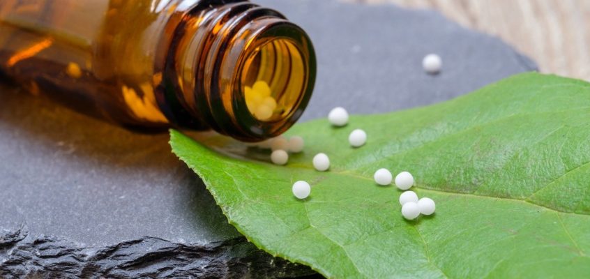 homeopatija bioresonanci za pse klopne bolezni steklina