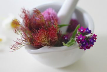 Homeopatija za živali: kako deluje?