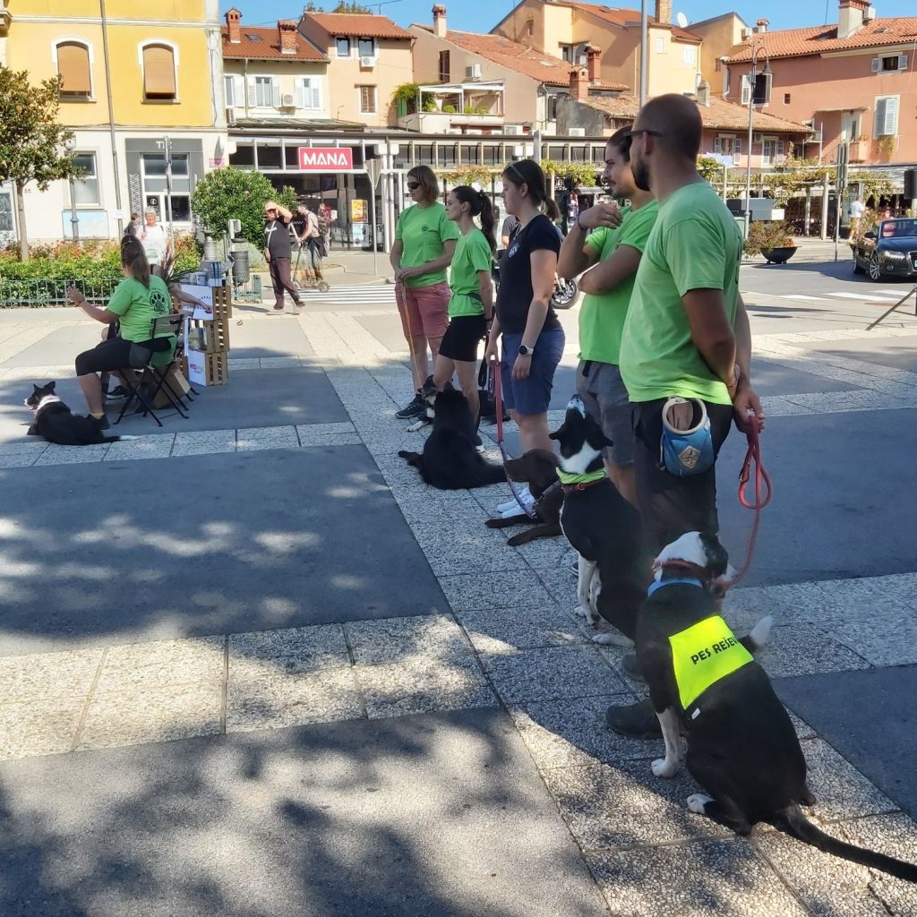 ŠKD Aktivne tačke in psi reševalci